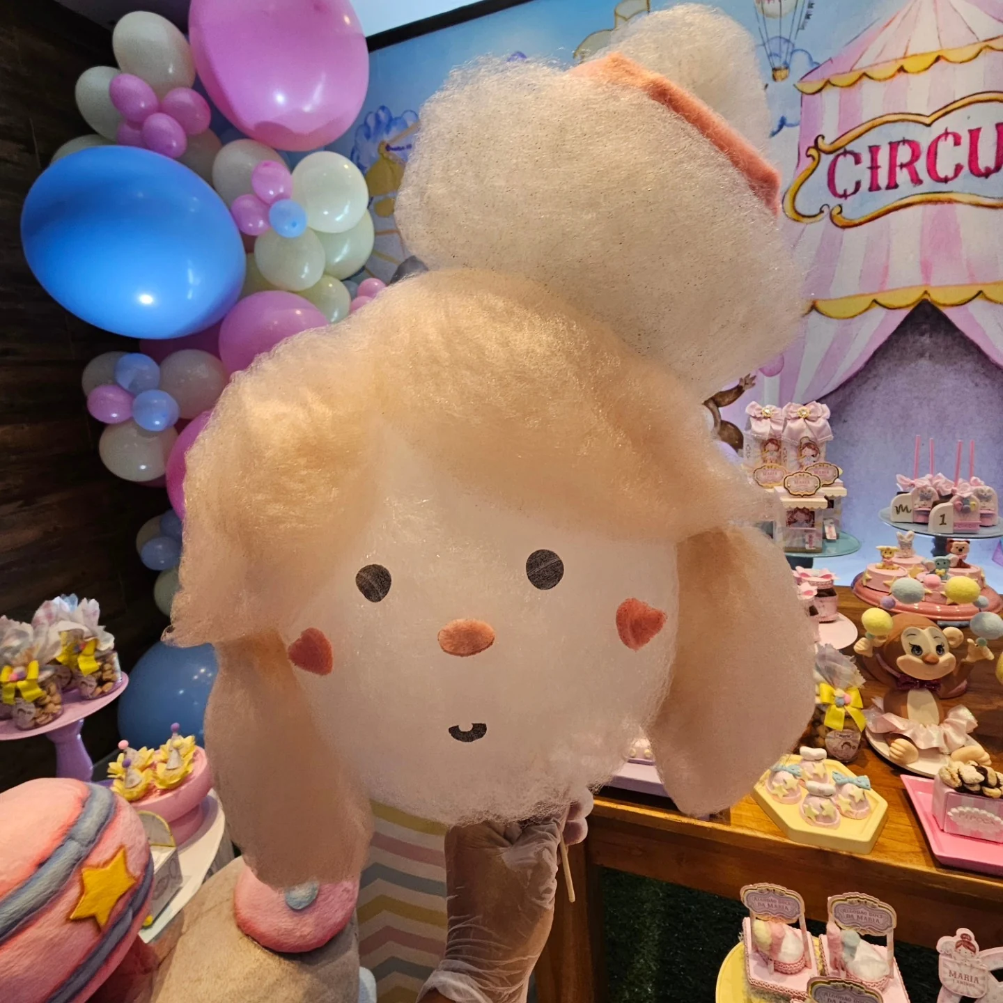 Poodle de algodão-doce